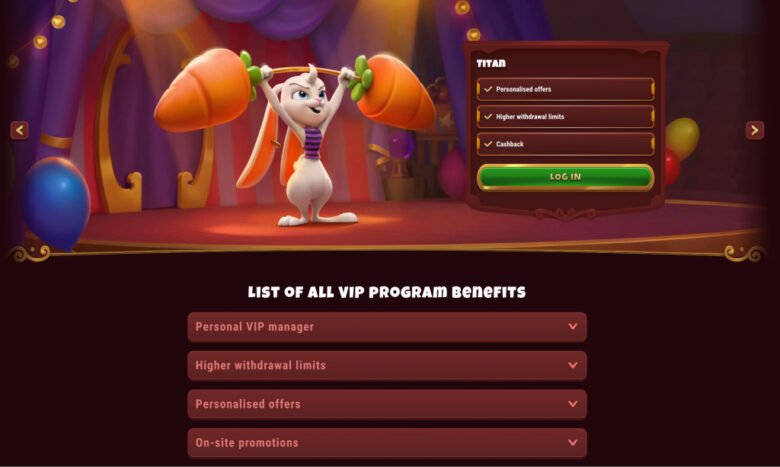 Découvrez les meilleures promotions de jeu à Magius Casino en France - aperçu